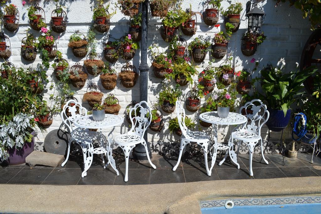 Hotel Vendimia Boutique سانتا كروز المظهر الخارجي الصورة